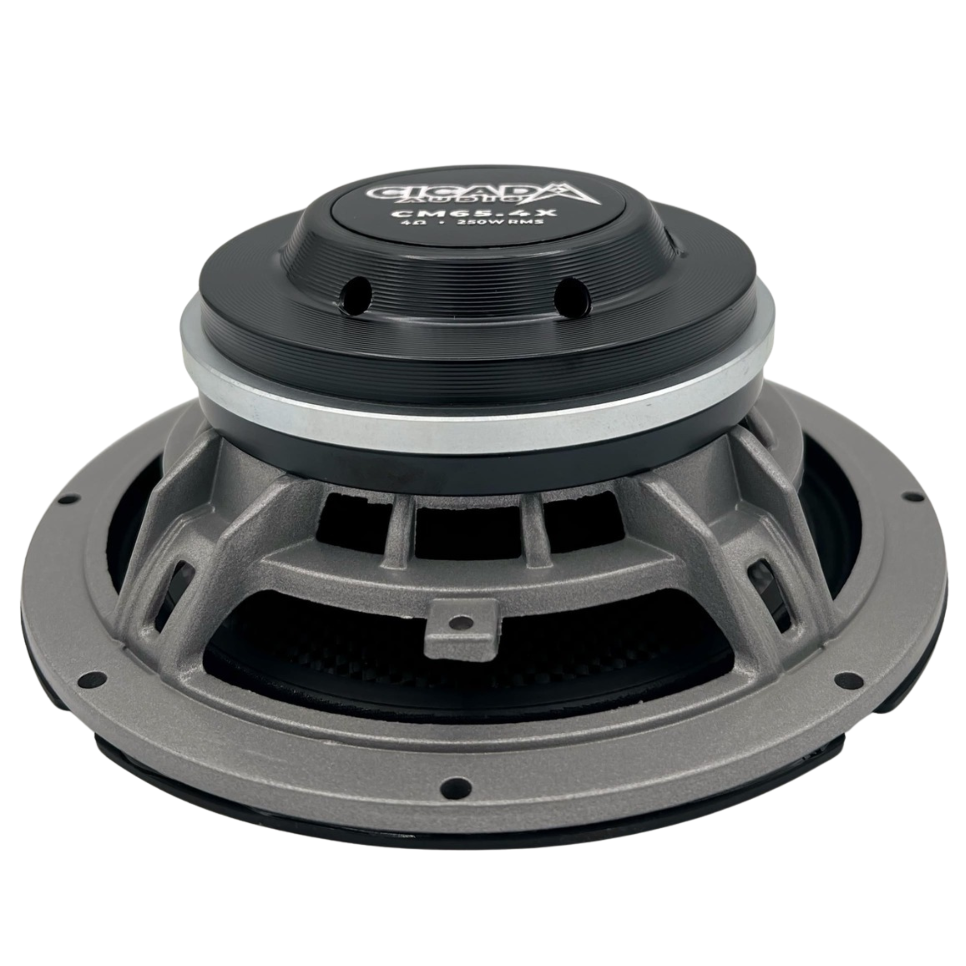 Cicada Audio CM65X 6.5 Cicada Audio CM65X 6.5
