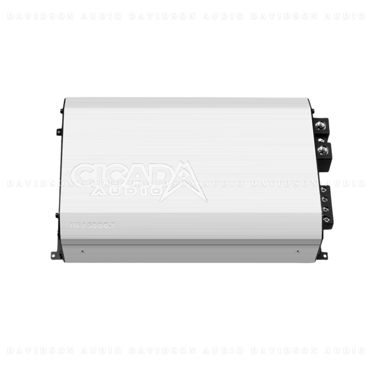 Cicada Audio BFA5000.1 Amplifier