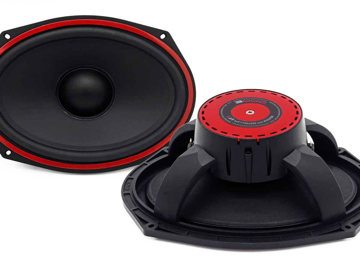 ESB Audio 3.69 Woofer