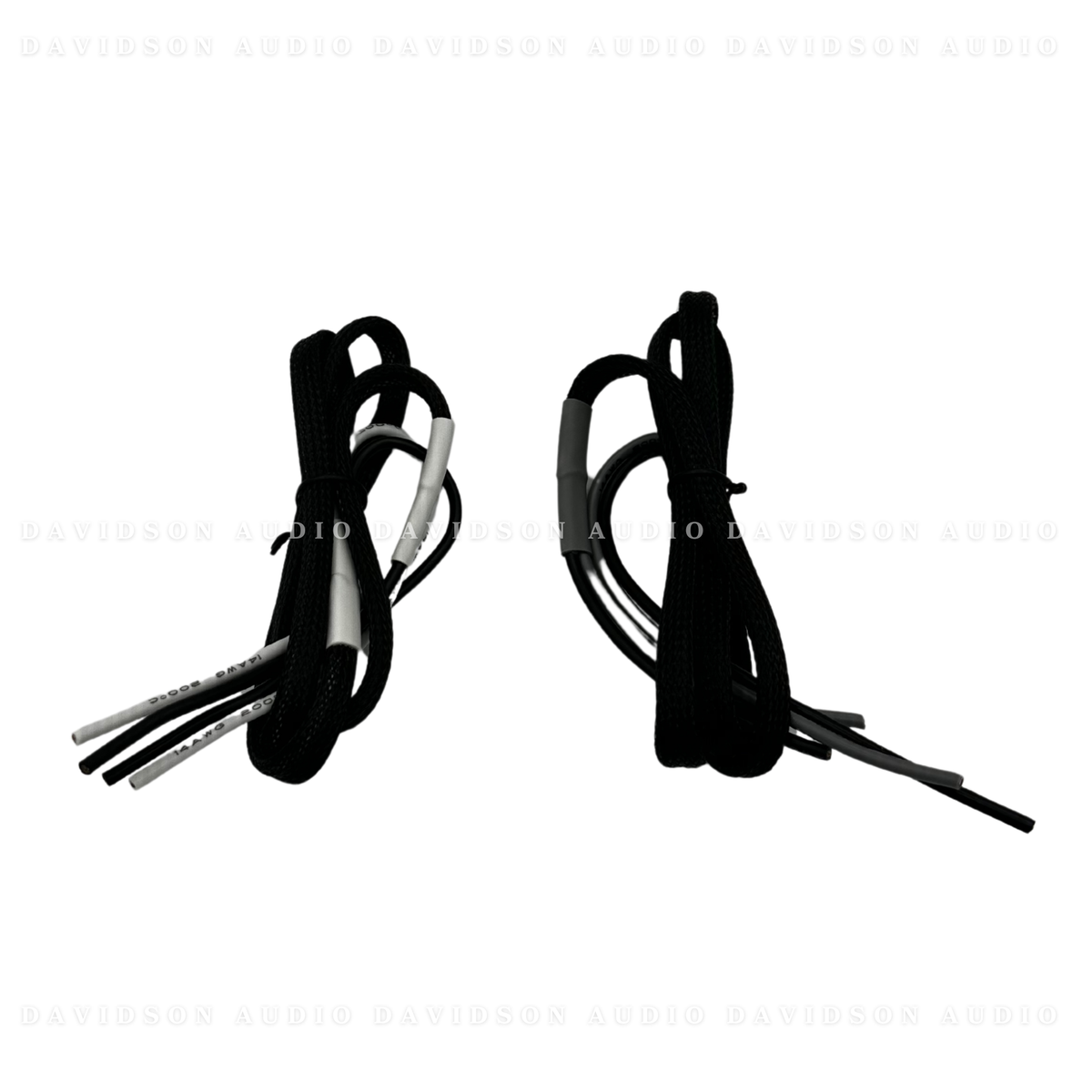 Indian Powerplus 2 Speaker Audio Package