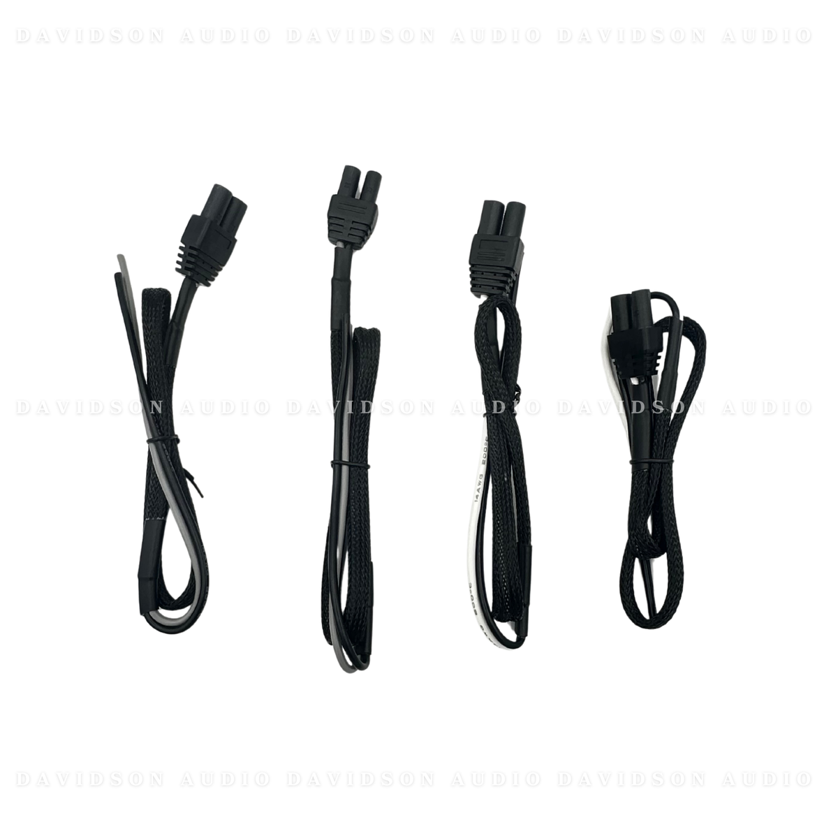 Indian Powerplus 2 Speaker Audio Package