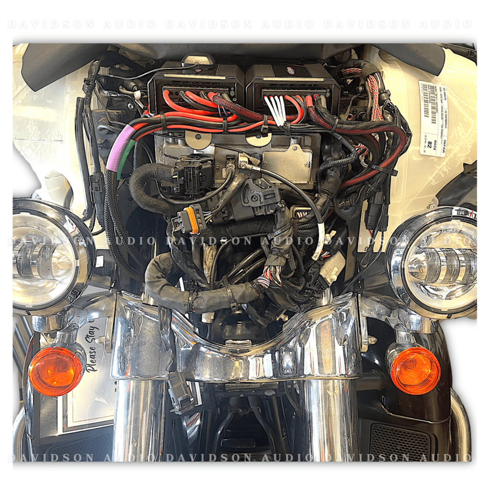 NVS AUDIO &quot;T&quot; Harness